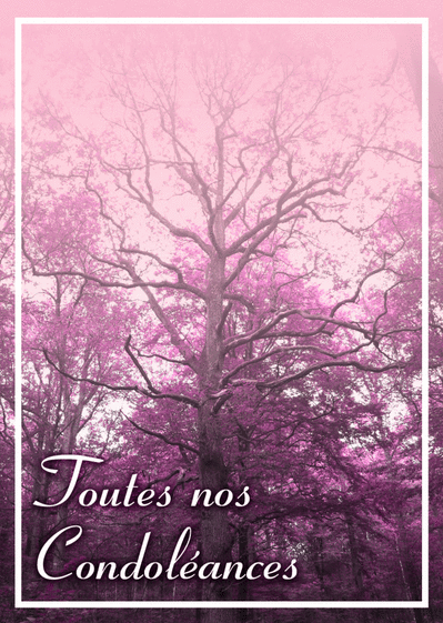 Carte Toutes Nos Condoleances Et Le Grand Arbre : Envoyer 